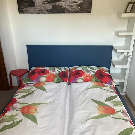 S Wellness Službami Venkovský dům *