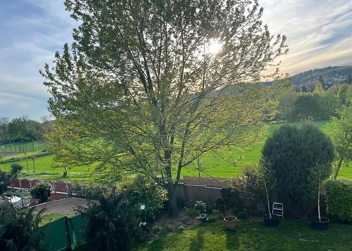 乡村民宿 S Wellness Sluzbami Čerčany